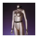 Upko indulge in the restraints collection - belt
