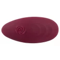Rosenrot bendable rc panty vib