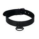 Obroża i smycz Collar With Leash