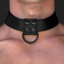 Obroża i smycz Collar With Leash