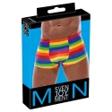 Herren pants rainbow