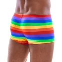 Herren pants rainbow