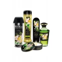 SHUNGA GARDEN OF EDO COLLECTION