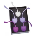 Minds of love trainballs gym set