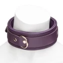 Fsog leather collar & lead