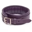 Fsog leather collar & lead