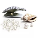 Bijoux indiscrets - mimi pearl nipple covers