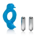Double dolphin