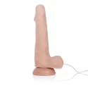 Rotating 12 function dong brown