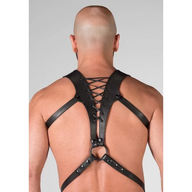 Spartan harness medium
