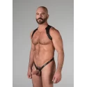 Spartan harness medium