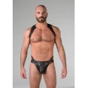 Spartan harness medium
