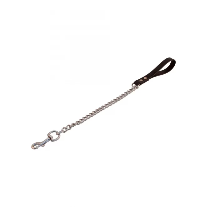 Dog Leash With Short Chain