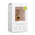 Gold Metal Butt Plug