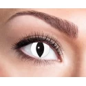 Contactlenses black cat