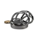 Chastity Cage With Urethral and Anal Plug