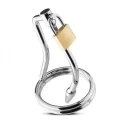 Chastity Device With Urethral Plug