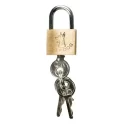 Chastity Device With Urethral Plug