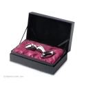 Njoy PFun Plug