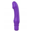 Delight Mini Vibe
