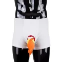 Funny underwear - fish