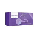 Silikonowa kulka Desire Kegel Ball