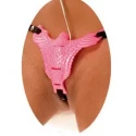 Stymulator łechtaczki Pinky Eagle Vibrator