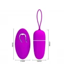 Wireless control egg, 12-function vibration