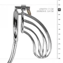 Metal Penis Cage With Anal Hook
