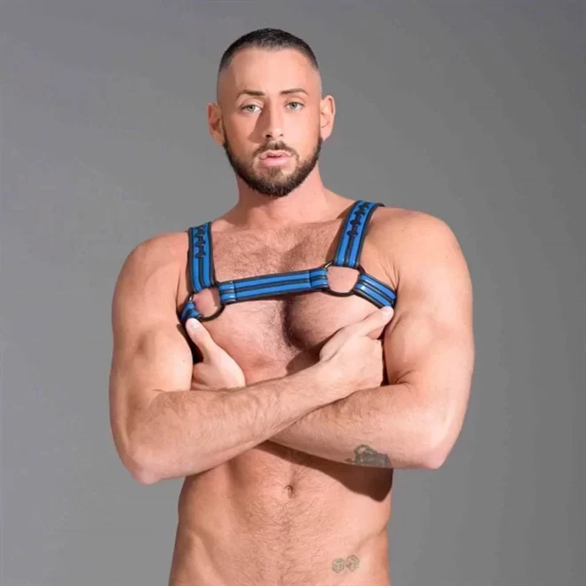 Neoprene bulldog harness - blue - medium 40-44
