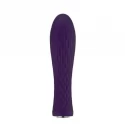 Nalone Ian Bullet Vibrator - Purple