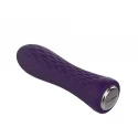 Nalone Ian Bullet Vibrator - Purple