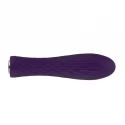 Nalone Ian Bullet Vibrator - Purple