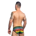 California Sunset Mesh Brief