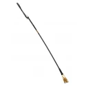 Riding Crop