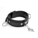 Isabella Sinclaire Collar With Leash