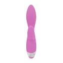 Verne g-spot & clitoral vibrator