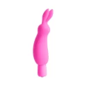 Luv bunny