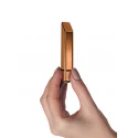 Bamboo Bullet