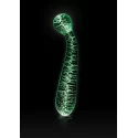FireFly Glass G-Spot Glow