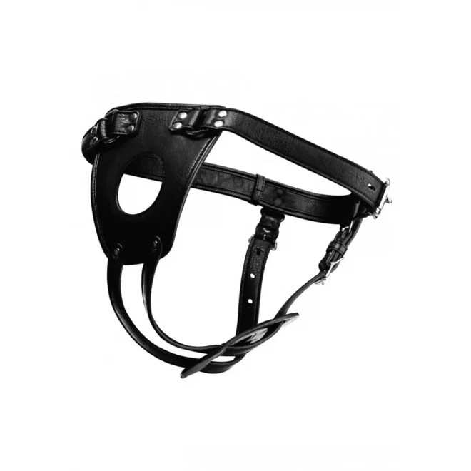 Ass holster anal plug harness
