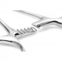 Isabellas Stainless Steel Forceps