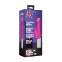 Rotating bunny vibrator