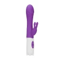 Rabbit vibrator