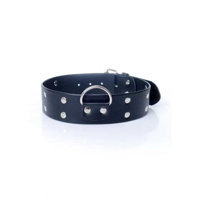 Fetish Boss Series Collar with studs 4 cm