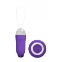 Jayden - dual rechargeable vibrating remote toy