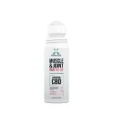 Muscle and joint heat relief roll on - 250 mg - 90g