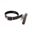 Obroża i smycz Collar Leash