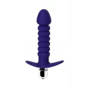 ToDoCondal Violet Anal Vibrator