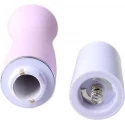 Mini Vibrator D4